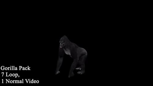 Gorilla-Paket