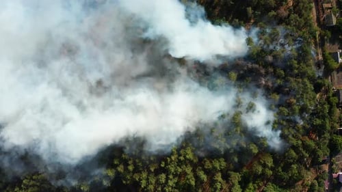 Aerial View of Wildfire in Forest. Burning Forest and Huge Clouds of Smoke.