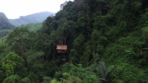 Casa del árbol en el bosque