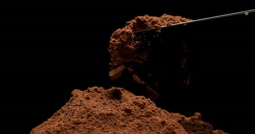 Nutmeg, myristica fragans, Powder falling against Black Background, Slow Motion 4K