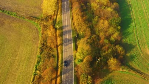 Aerial view of road in beautiful autumn forest at sunset. Beautiful landscape with empty rural road,