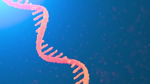 mRNA Strand Rotates on Orange Backdrop with Flying Debrises