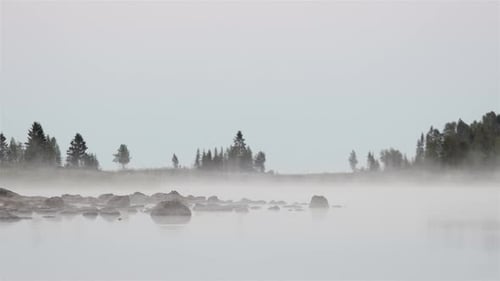 Misty Lake Surrounded by Evergreen Trees