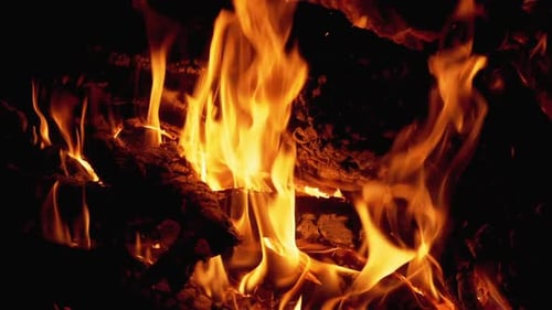 Bonfire. Campfire From Branches Burns at Night. Slow Motion