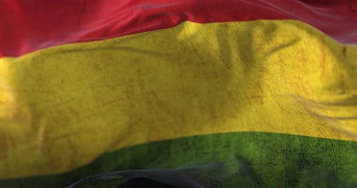 Animated Grungy Red Yellow Green Flag Waving