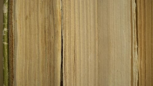 Close Up of Old Book Pages