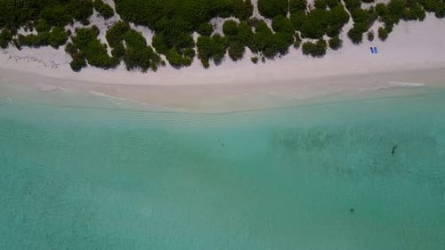 Sonnige Zusammenfassung des Inselstrandes vor blauem Meer und Sandhintergrund in der Nähe des