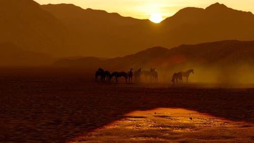 Wild Horses Grazing in Foggy Mountain Range At Sunset