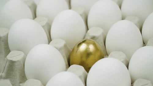 Chicken White Fresh Rohe Eier und allein Golden Egg
