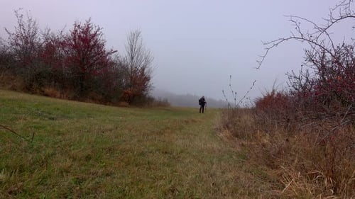 Hiker On A Path Full Of Fog Searching For Signal