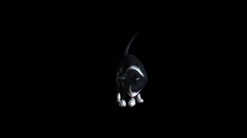 Chat
