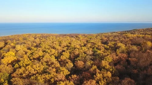 Natur Herbst