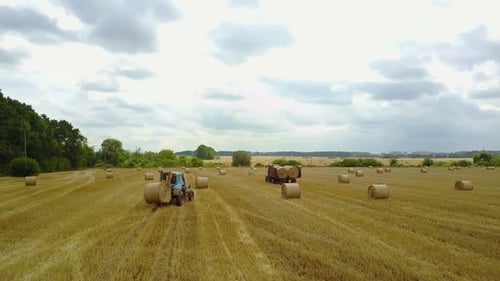 Tractor Harvesting Hay Bales in Golden Field
