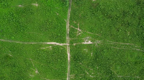 Aerial view of green pasture on a sunny day. Beautiful green area of agricultural land or grazing
