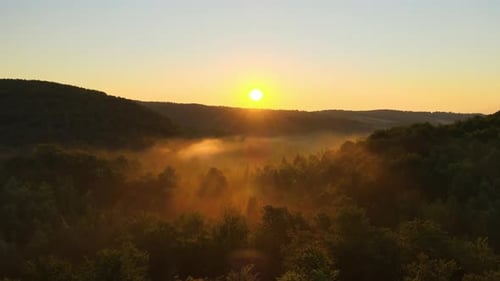 Matin brumeux et vibrant sur les arbres sombres de la forêt au lever du soleil d'été