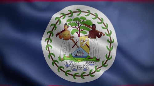 Belize Flag Waving Seamless Loop Animation