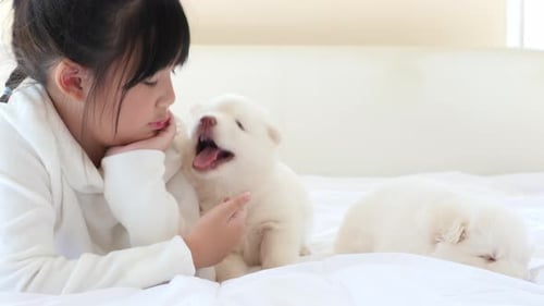 Girl Lying on Bed with Fluffy White Puppies
