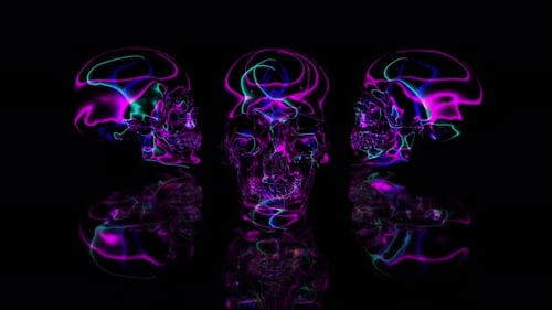 Glowing Edges Neon Skull 3D Abstract Psyhodelic Particle Trails Animation 4K Seamless Loop