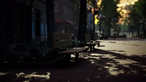 Moving Sunlight Shadows on a Quiet Park Bench Street