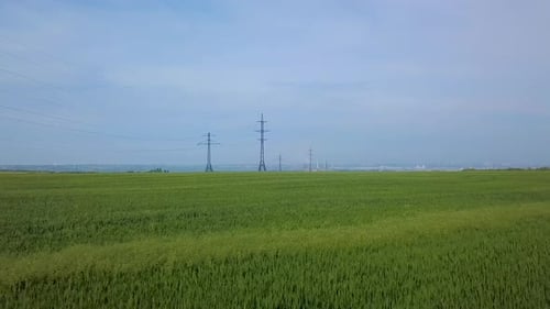 Aerial View of Green Field with Power Lines