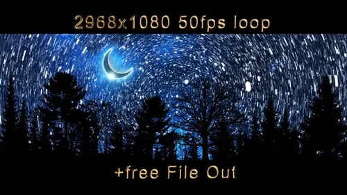 Night Sky Star Trails with Crescent Moon Over Forest
