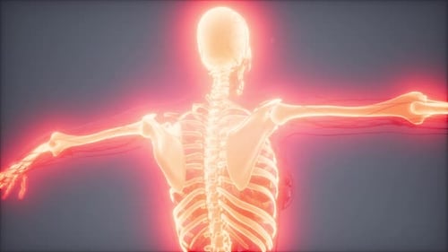 Animated 3D Human Skeleton with Red Glowing Joints and Pain Points