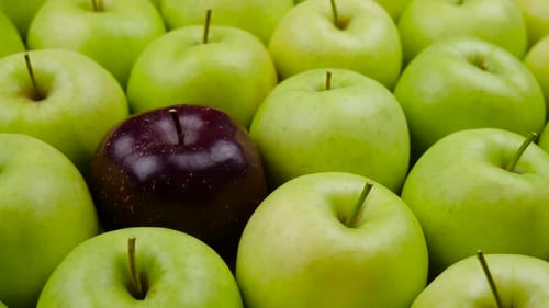 One Red Apple Among Many Green Apples