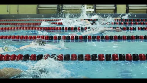 Swimmers Compete Doing the Crawl Stroke in Pool