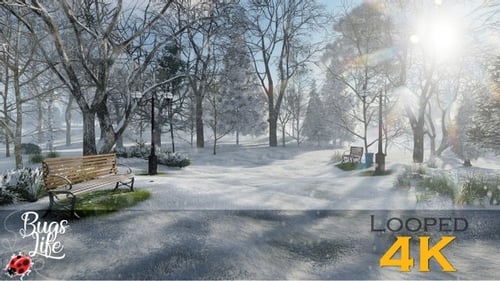 Winter Snow