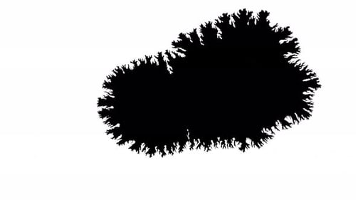 Black Ink Drop Spreading on White Background