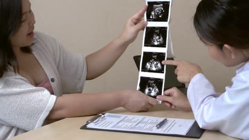 Pregnant Woman and Gynecologist Doctor at Hospital
