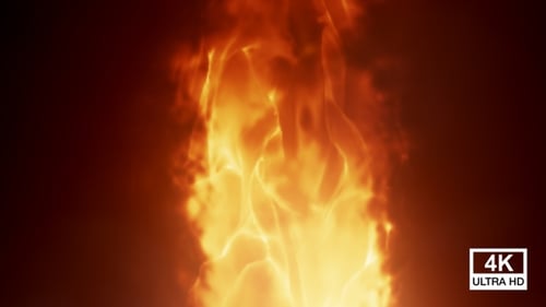 Seamless Loop of Dynamic Burning Fire Effect