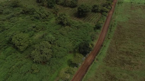 aerial view of the nature side of Arusha, Tanzania