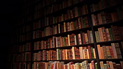 On The Library Shelf 06 4K