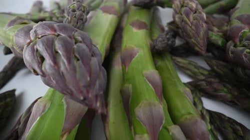 Asparagus 17