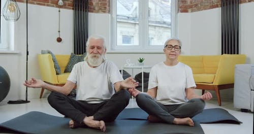 Mature Couple Doing Yoga at Home Together