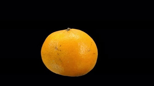 Naranja realista que gira con canal alfa