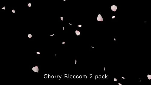 Lot de 2 fleurs de cerisier