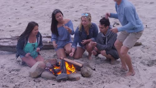 Group of friends at beach hanging out by campfire and roasting marshmallows