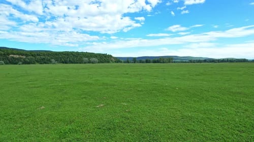 Green Field And Blue Sky