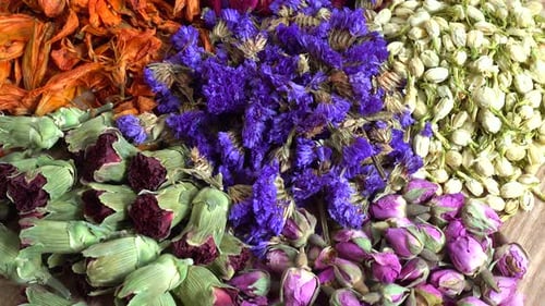 Dried Assorted Flowers in Close-Up Still Life
