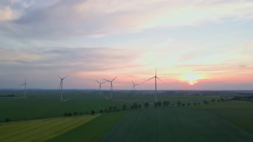 Wind Turbines in Green Field at Sunset