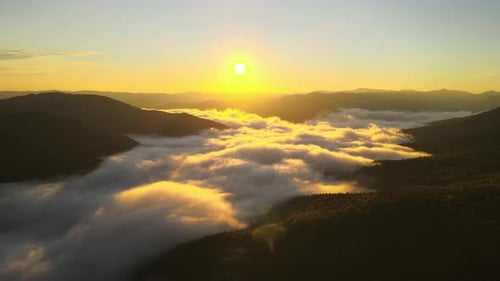 Aerial View of Amazing Scenery with Foggy Dark Mountain Forest Pine Trees at Autumn Sunrise