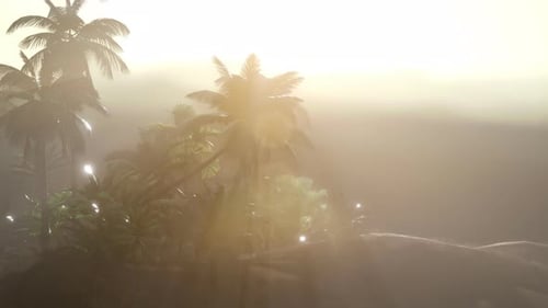 Ethereal Tropical Jungle with Misty Sun Rays Background