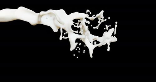Milk Splash on Black Background