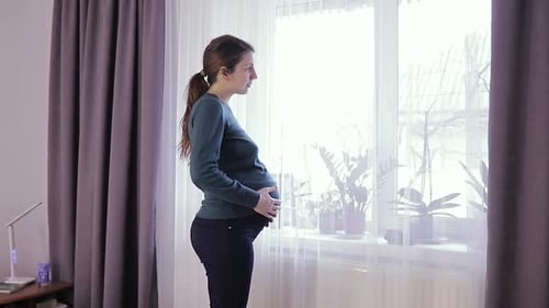 Young Beautiful Pregnant Woman Standing Near Window at Home