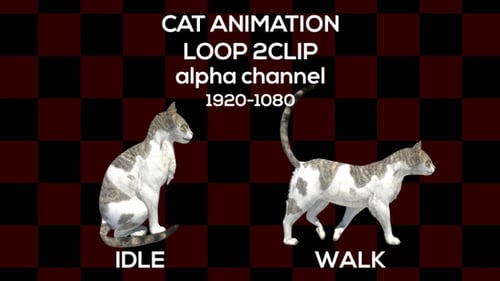 Chat Animation 2 Clip Alpha