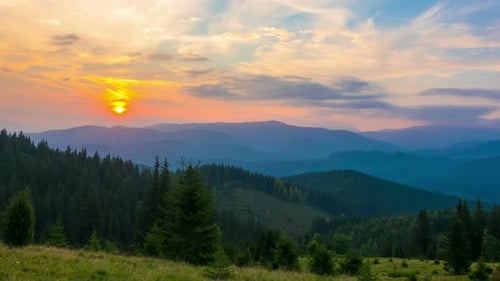 The Mountain Forest on Background of Sunset