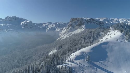 Flight Over the Snowcovered Spruce Forest with Mountains in the Background