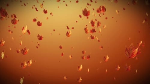 Autumn Maple Leaf Falling Stage Background